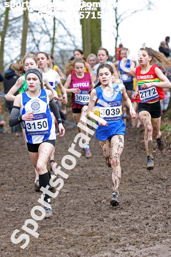 Girls under-13s 2018 British Inter Counties Cross Country Champs., Prestwold Hall, Loughborough. Photo: David T. Hewitson/Sports for All Pics